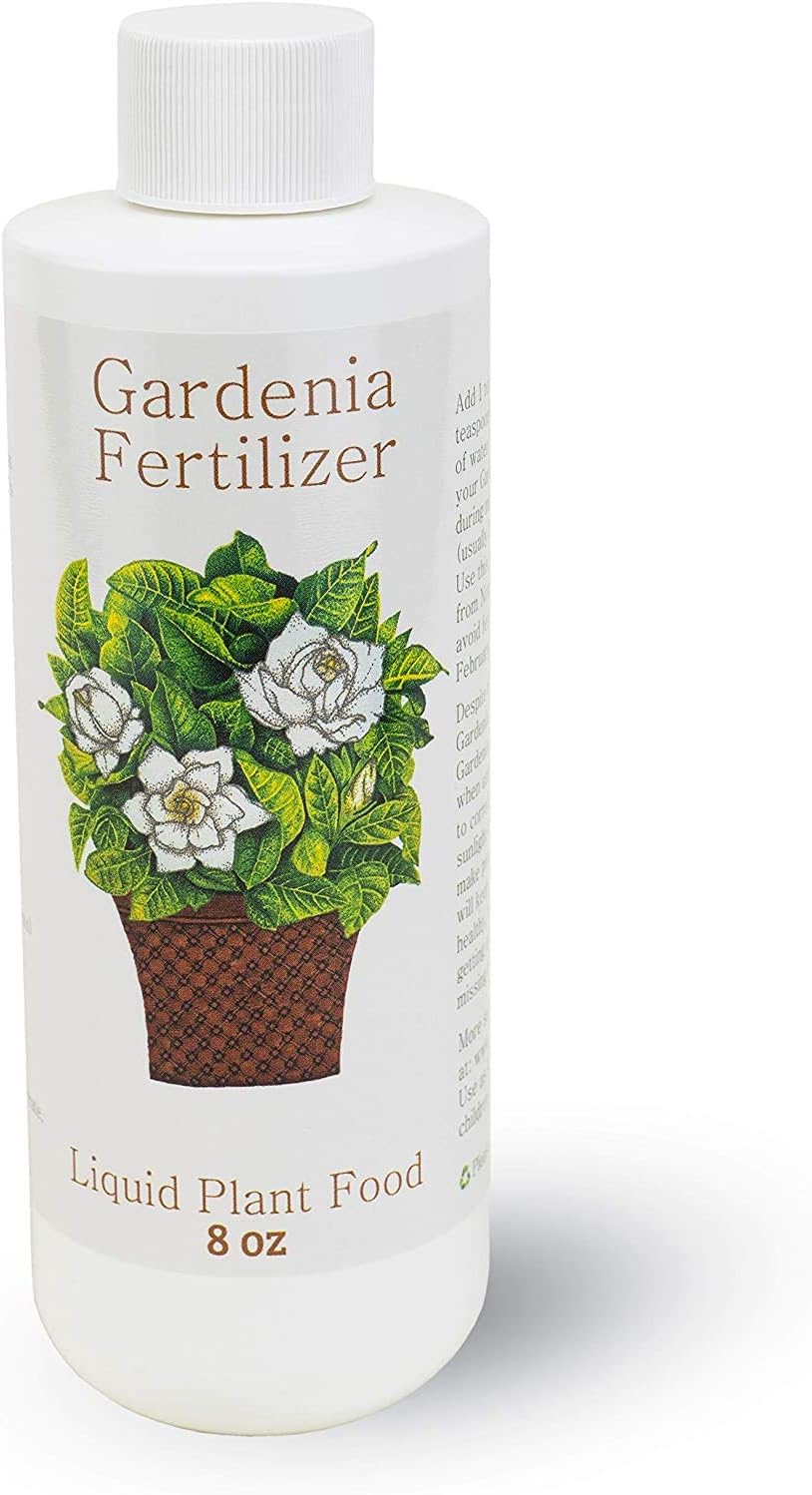 Gardenia Fertilizers Rubiaceae Flower Food Bloom