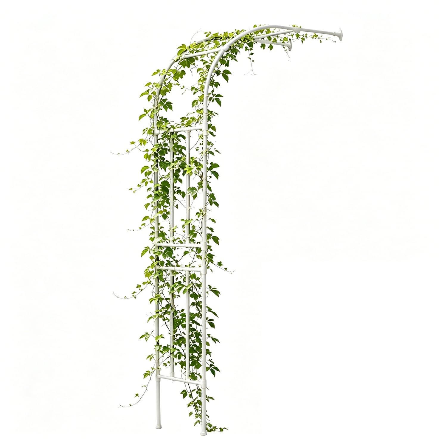 Pergola arquée Semi-Jardin d'extérieur, adaptée aux Plantes grimpantes, Gazebo en métal de 60 à 300 cm, Arche Murale en Acier Blanc, adaptée aux Jardins familiaux avec terrasse (270 cm de la