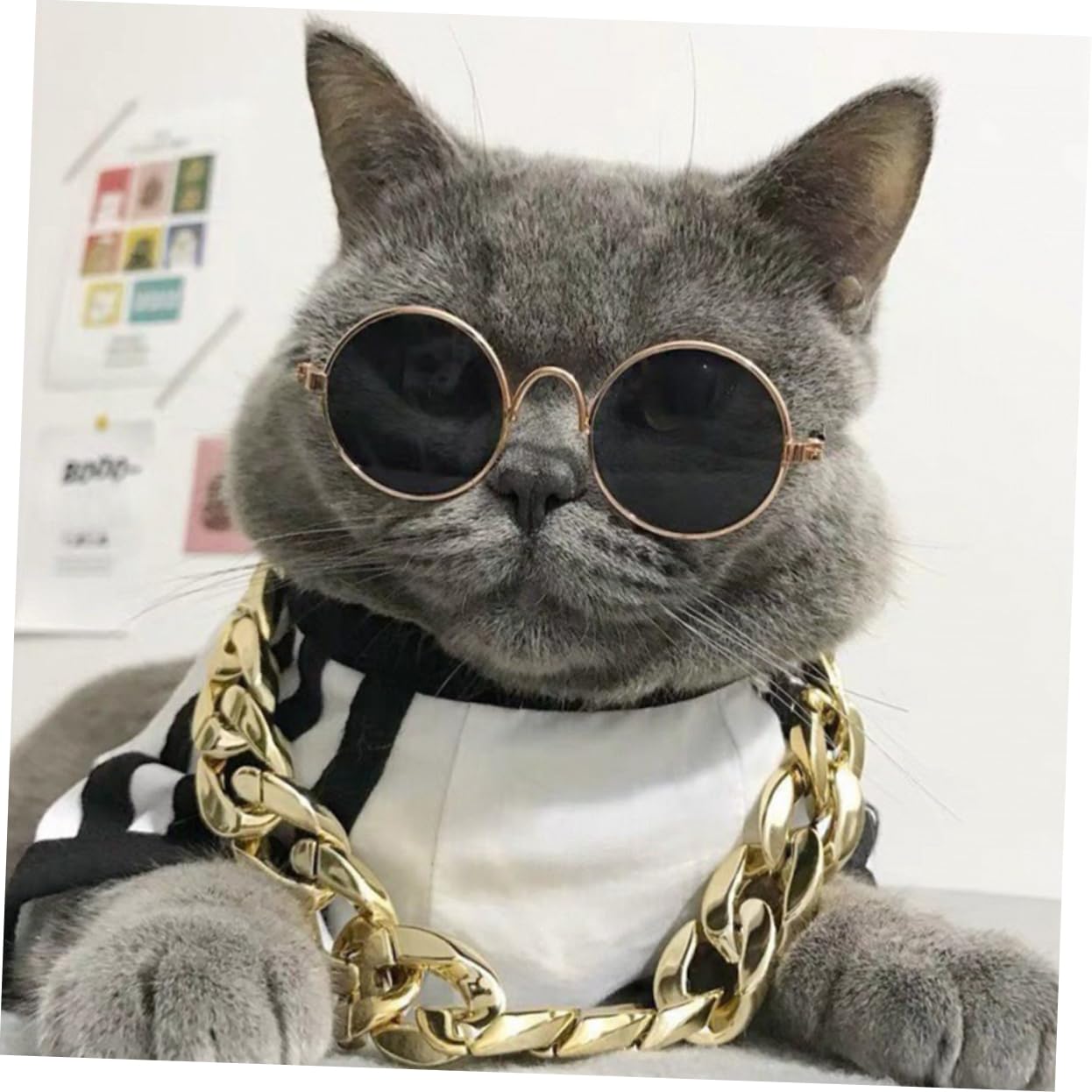 BCOATH 1Set Adorable Dog Glasses Decorative Cat Necklace Set Stylish Pet Accessories for Parties Weddings and Daily Wear Lightweight Easy to Use and Comfortable for Your Pets