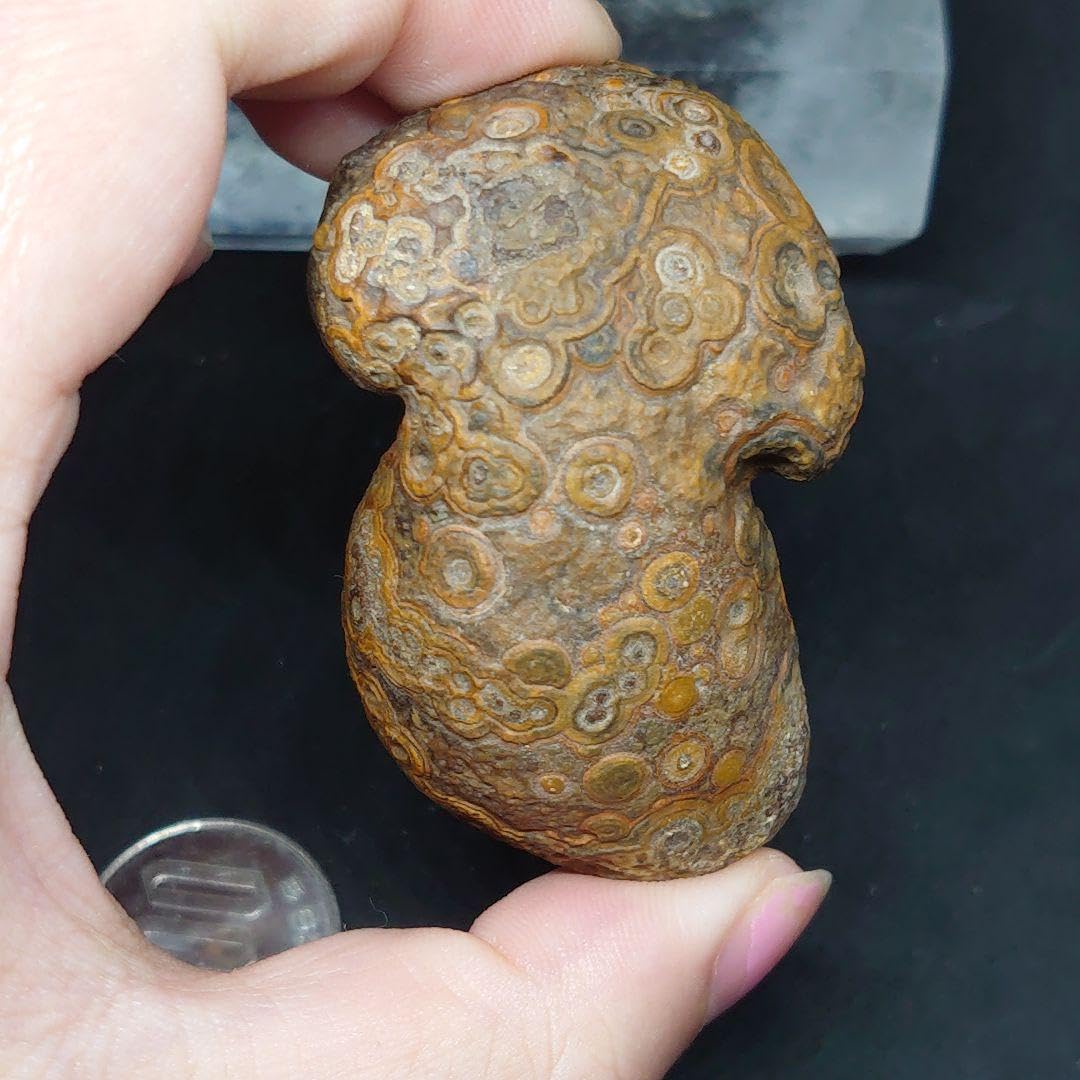 アラシャンゴビ瑪瑙 金銭眼石 原石 象形石 置物 蒙天珠 ゴビ瑪瑙 ゴビ石 Amazon.co.jp: アラシャンゴビ瑪瑙 金銭眼石 原石 象形石 置物