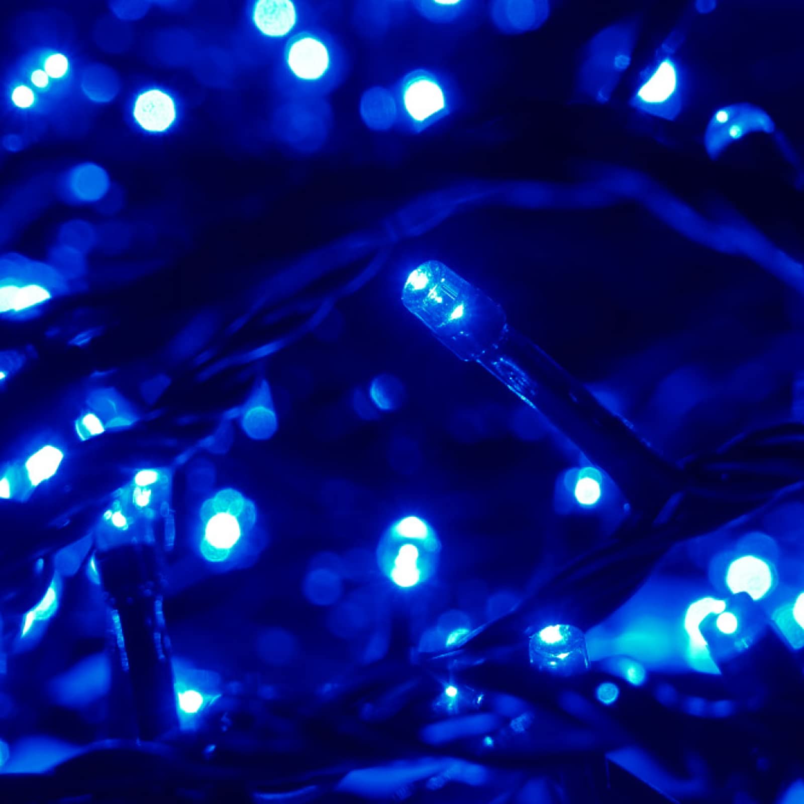 Luccika Guirlande LED Intérieur/Extérieur, 8 Modes d'Éclairage, Contrôleur 31V avec Mémoire, IP44 Étanche, Câble Vert, pour Noël, Fêtes et Décorations (Bleu, 25M 500LED)