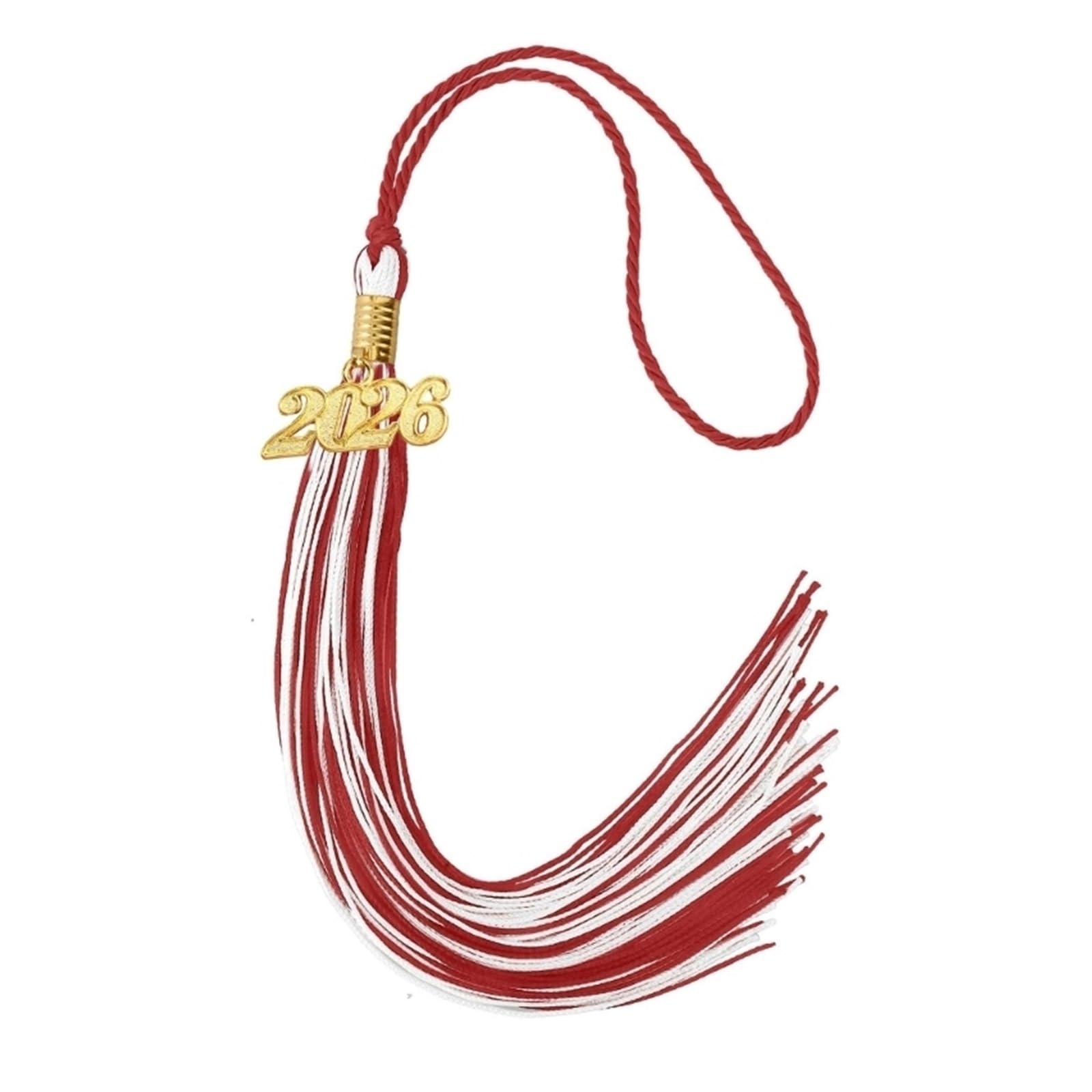Tassel Graduation 10Pcs 2026 Graduation Tassels With Year Charm Of Hat Decoration for Graduate Ceremonies and Memorials(Blue black)