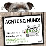 vfl wolfsburg ii - eintracht braunschweig ii h2h Mehr verrückte Fanartikel findest Du unter Eingabe 