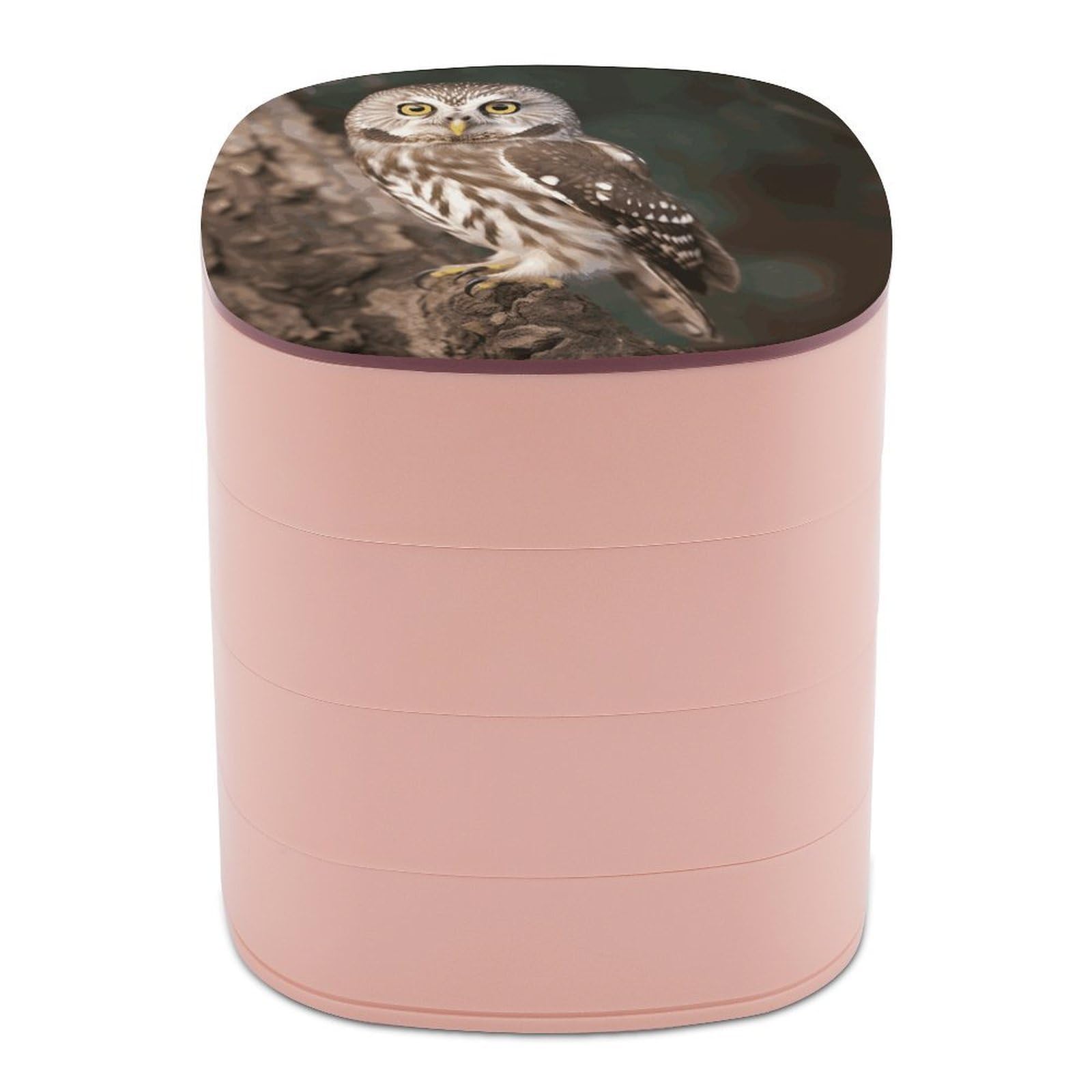 JTREHY Wildlife Animal Owl Jewelry Box 4-Layer Covered Rotating Jewelry Storage Box Large Capacity Storage Boxes Portable Jewelry Case for Bracelets Earrings Necklace