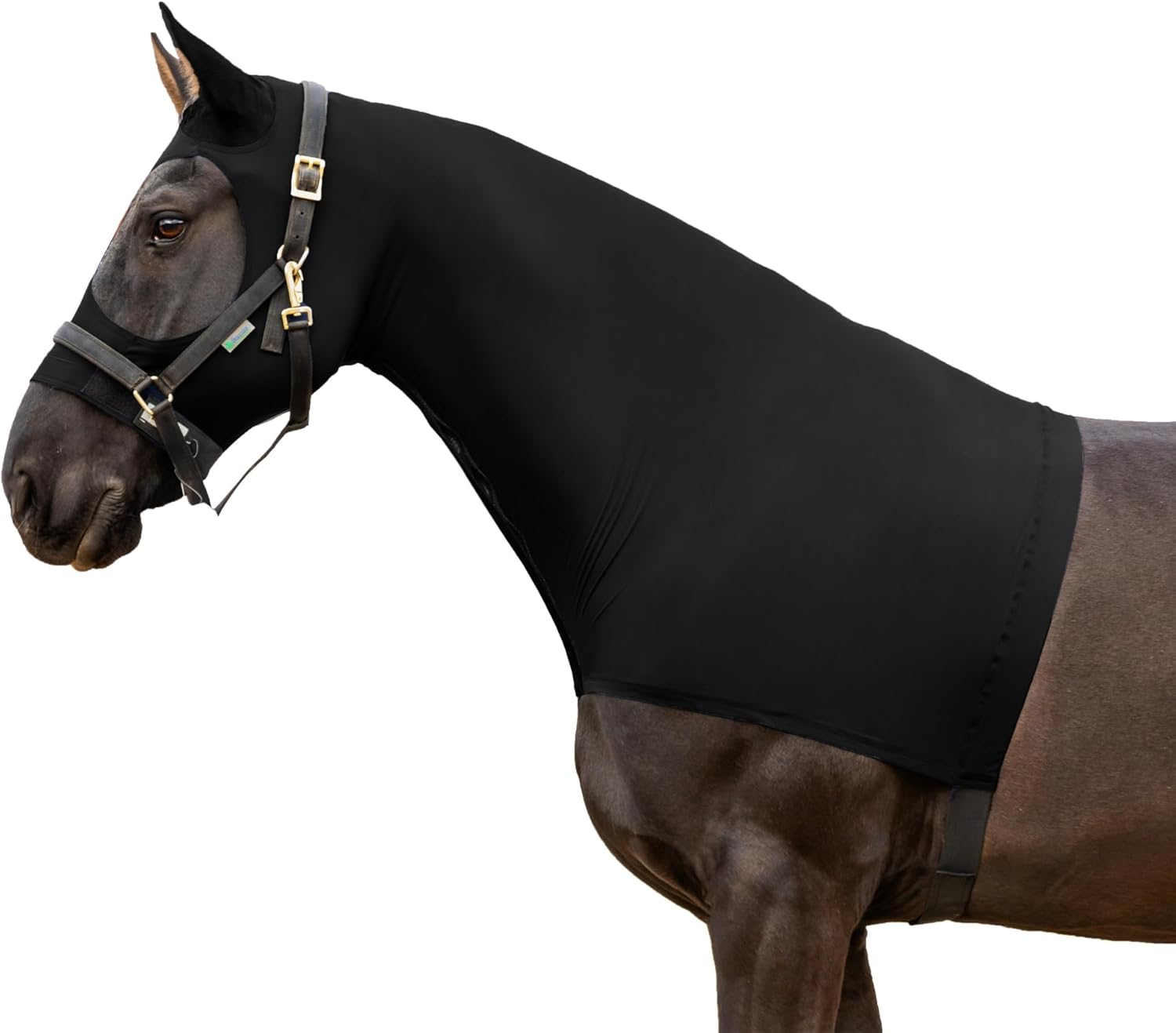 Resistance Horse Hood Slinky Lycra Zippered Mane Braid Shoulder Guard – Horse Sleazy Slickers Care Sheet