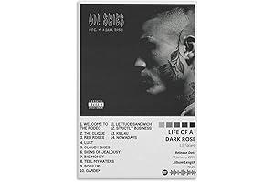 Lil Skies Canvas Poster: A Dark Journey for Troubled Hearts