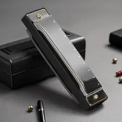 Gaita, Gaita de Boca, Gaita Diatônica Blues Chave C, Blues Boca Organ Harmonica 10 Furos com Caixa Preto, Gaita Padrão para Adultos, Profissionais, Iniciantes e Estudantes, 100 * 28 * 18mm