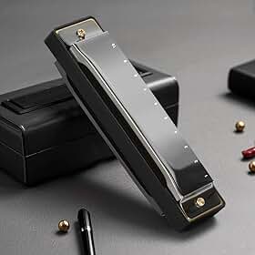 Gaita, Gaita de Boca, Gaita Diatônica Blues Chave C, Blues Boca Organ Harmonica 10 Furos com Caixa Preto, Gaita Padrão para Adultos, Profissionais, Iniciantes e Estudantes, 100 * 28 * 18mm