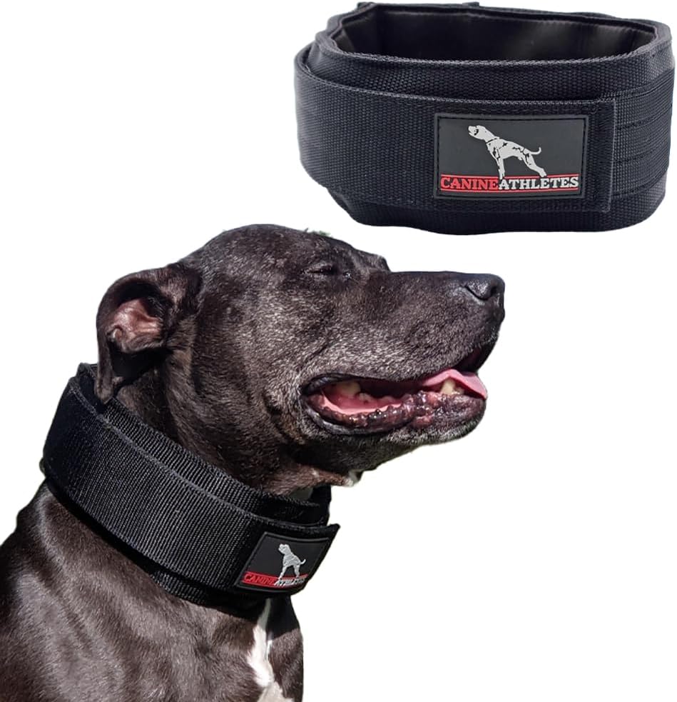 CANINE ATHLETES 3" Elite-HD Weighted Working Dog Collar (5LB, Black)