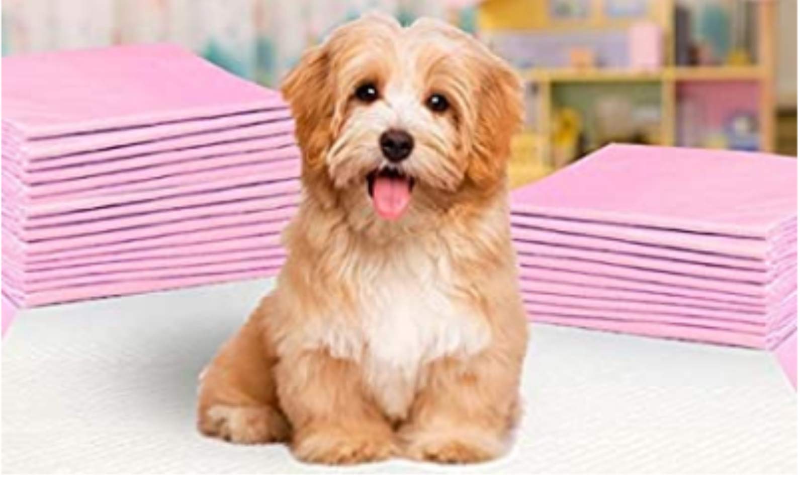 Tapis d'incontinence pour chien à haute absorption, coussinet étanche 60 x 90 cm