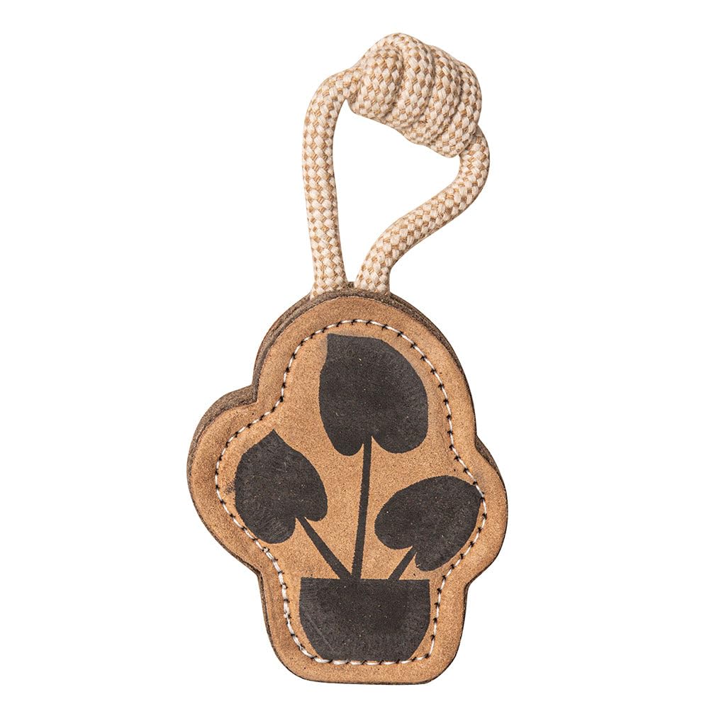 PAWPOURRI Natural Jute Dog Chew Toy, Tough & Durable Plant-Shaped Puppy Toy, Safe Teething Chew