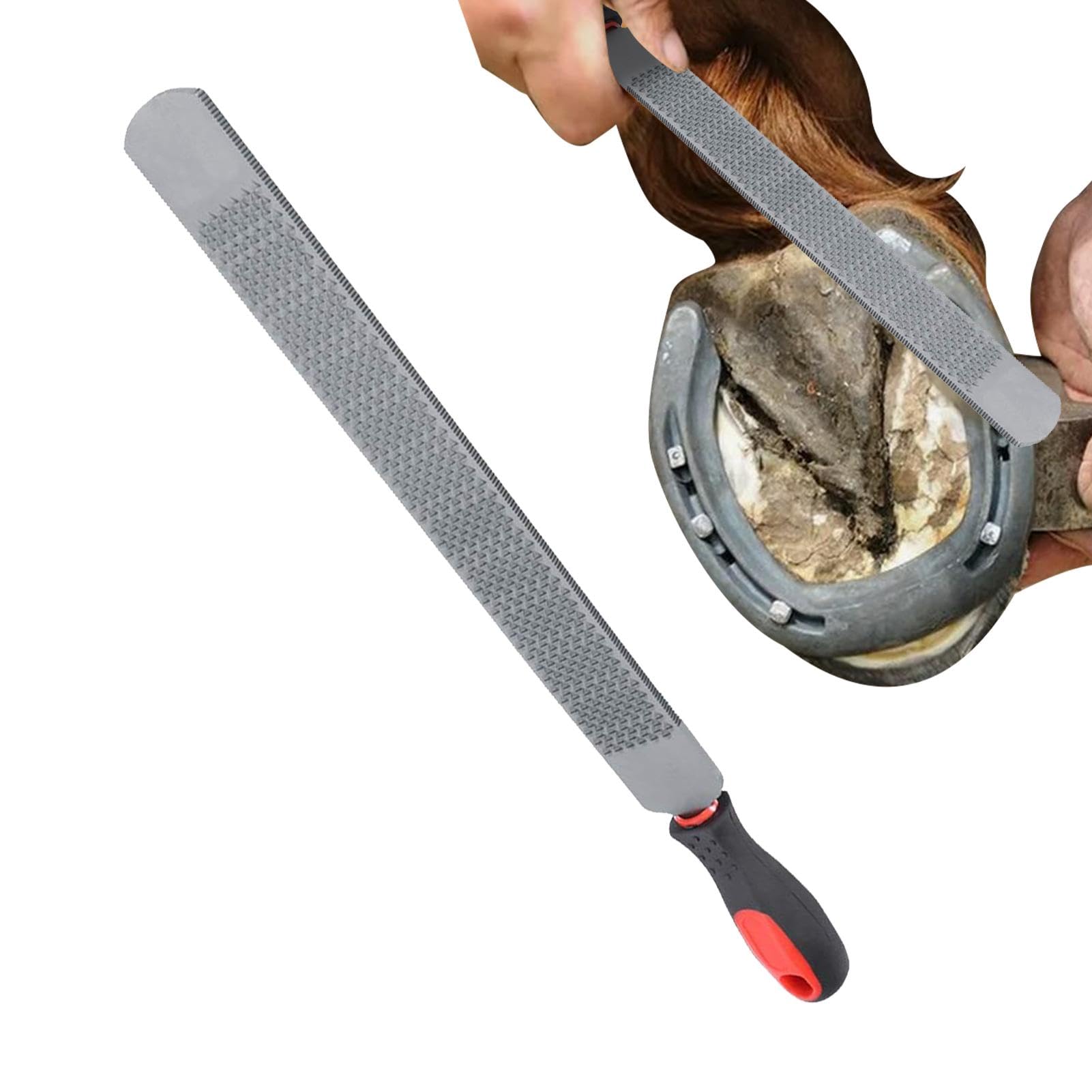 Râpe À Sabot - Râpe À Sabot Double Face Pour Chevaux, Lime À Râpe À Sabot | Lime À Râpe De Maréchal-ferrant, Râpe À Chèvre, Lime À Sabot De Porc Pour