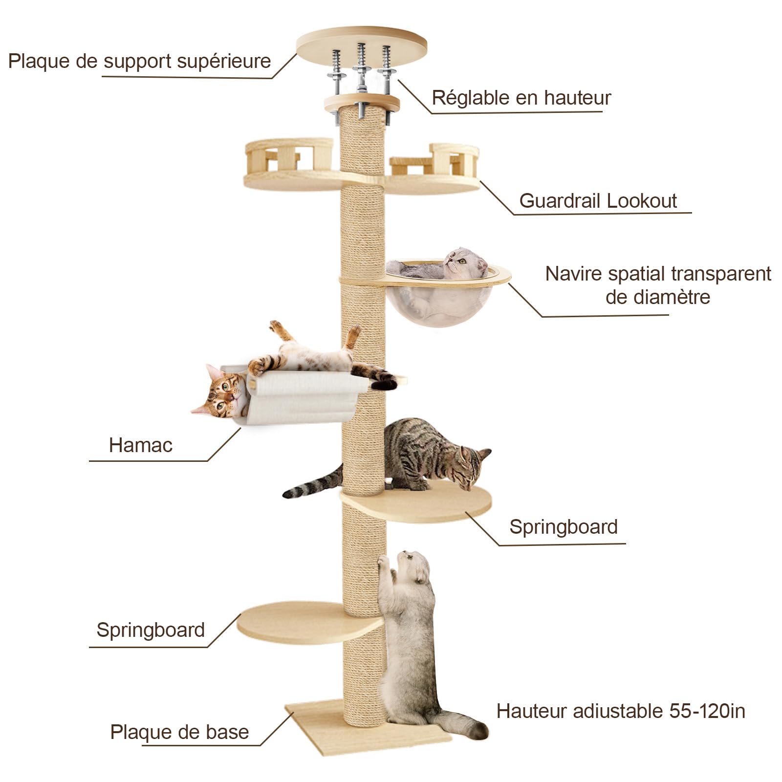 Arbre à Chat Plafond Réglable 300 cm – Grand Arbre à Chat avec Hamac, Niche et Plateformes pour Chats d’Intérieur et Maine Coon