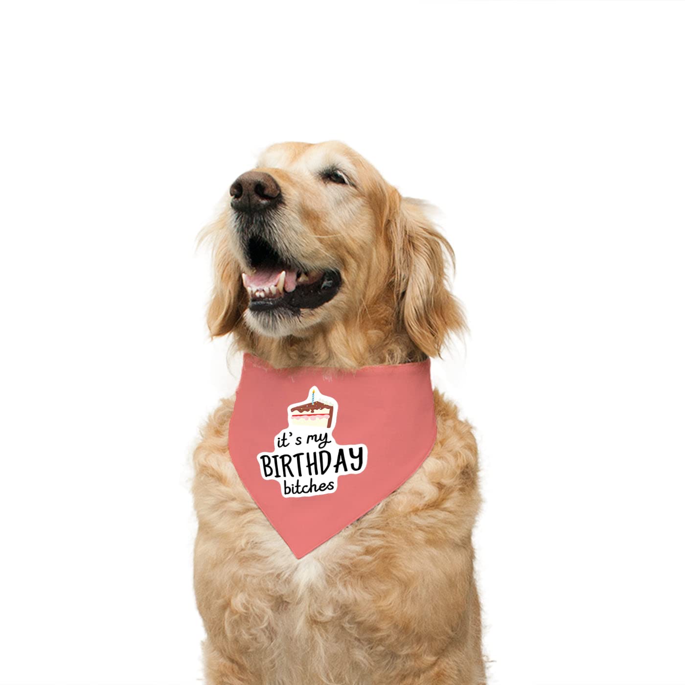 See full amazon price history chart for Ruse Reversible Dog Bandana Its My Birthday Bitches 2" Printed 100% Cotton Salmon and Wilderness Printed Dog Scarf/Dog Gift Adjustable Snap Button for Dogs/Large Ruse Reversible Dog Bandana Its My Birthday Bitches 2" Printed 100% Cotton Salmon and Wilderness Printed Dog Scarf/Dog Gift Adjustable Snap Button for Dogs/Large (B09RSM173F) Amazon Price History, Amazon Price Tracker