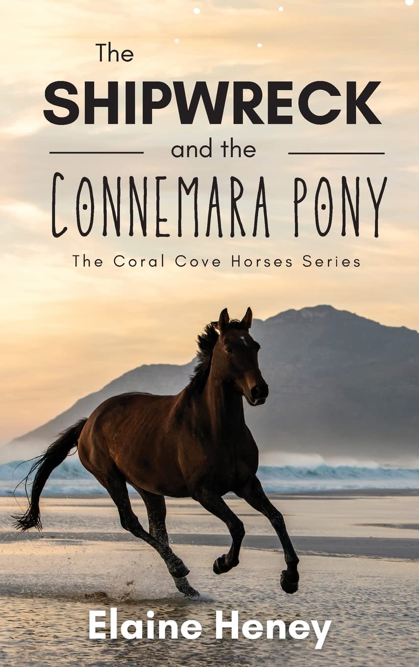 The Shipwreck and the Connemara Pony - The Coral Cove Horses Series: 5 (Coral Cove Horse Adventures for Girls and Boys)