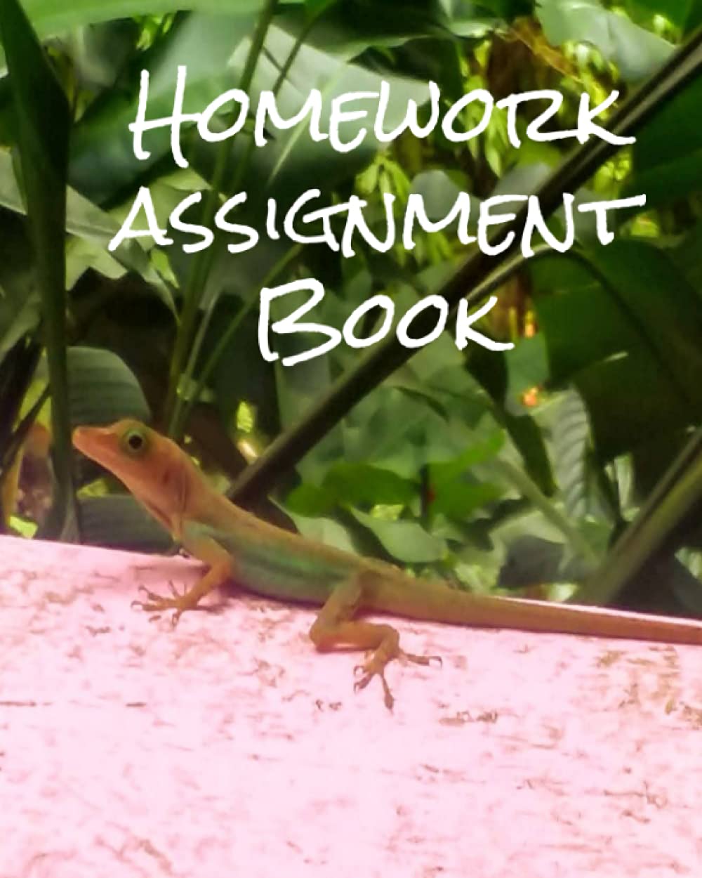 School Homework Assignment Book, Students Homework Assignment Notebook, Assignment Journal for Students, Teachers and Parents, School Supplies, ... for students. Homework organizational tool.