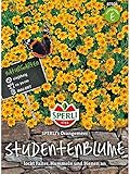 Sperli - Saatgut