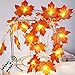 Produktbild 5M Herbst Ahornblatt Lichterketten 50 LED Blättergirlande 8 Modis (mit Fernbedienung) IP44 Batteriebetrieben für Thanksgiving Raumdekoration Geburtstagsfeier Garten