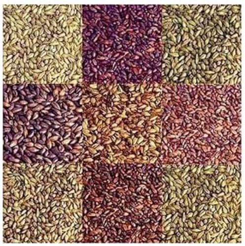 Miniatura 2 de Briess Victory Malta 1 lb