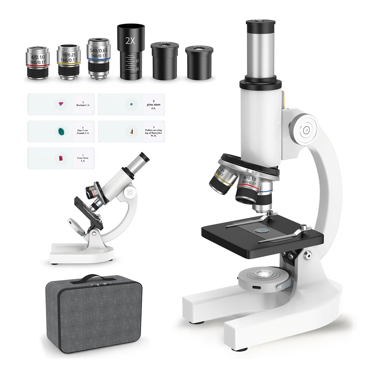 Microscopio compuesto 40X-2000X para niños y adultos: microscopio biológico con diapositivas y estuche de almacenamiento, kit educativo de ciencia de laboratorio escolar para estudiantes principiantes