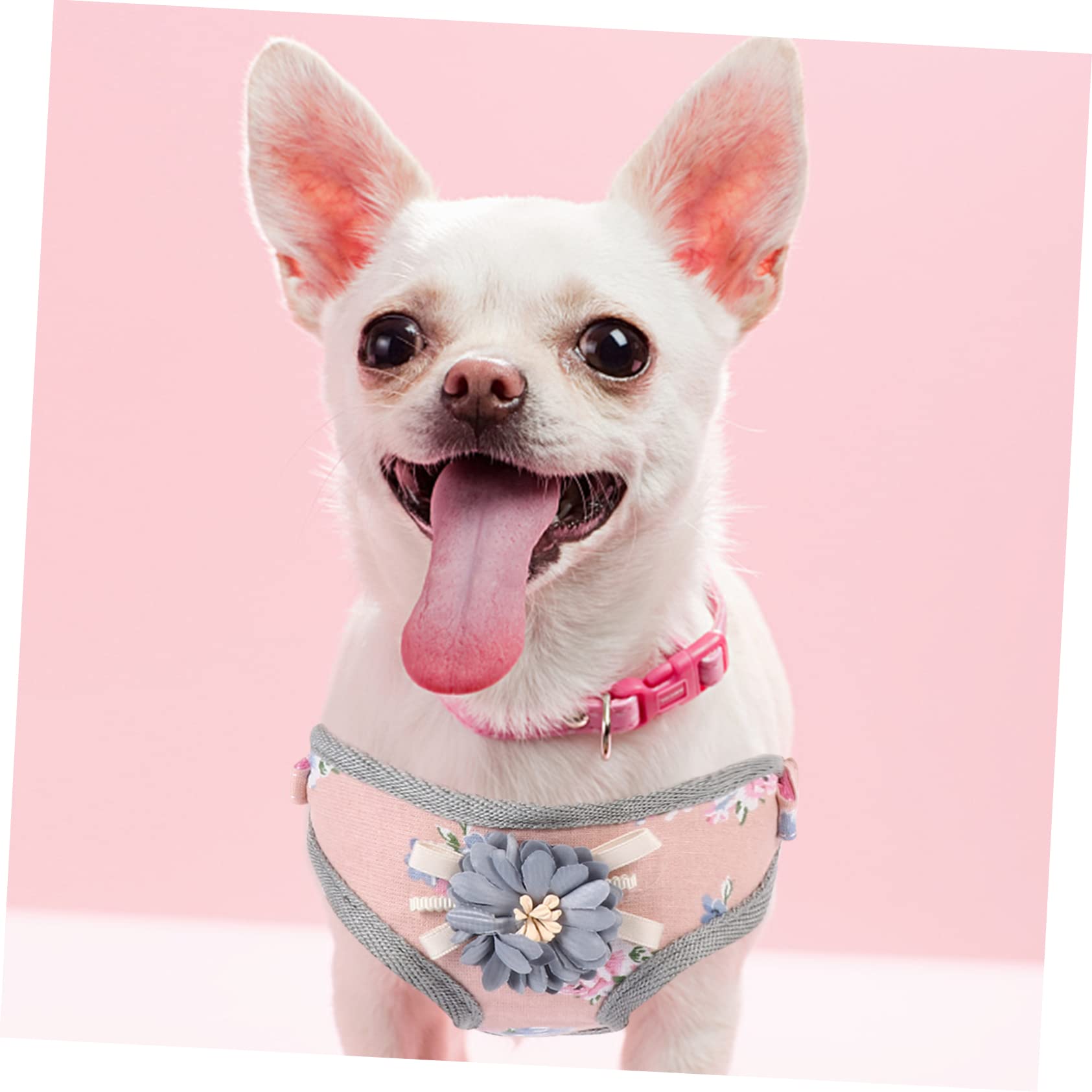 Beavorty 3 Set Set Gilet Medio Per Cani Set Design Floreale Set Per Animali Domestici E Guinzaglio Comodo Protettore Toracico Per Cani