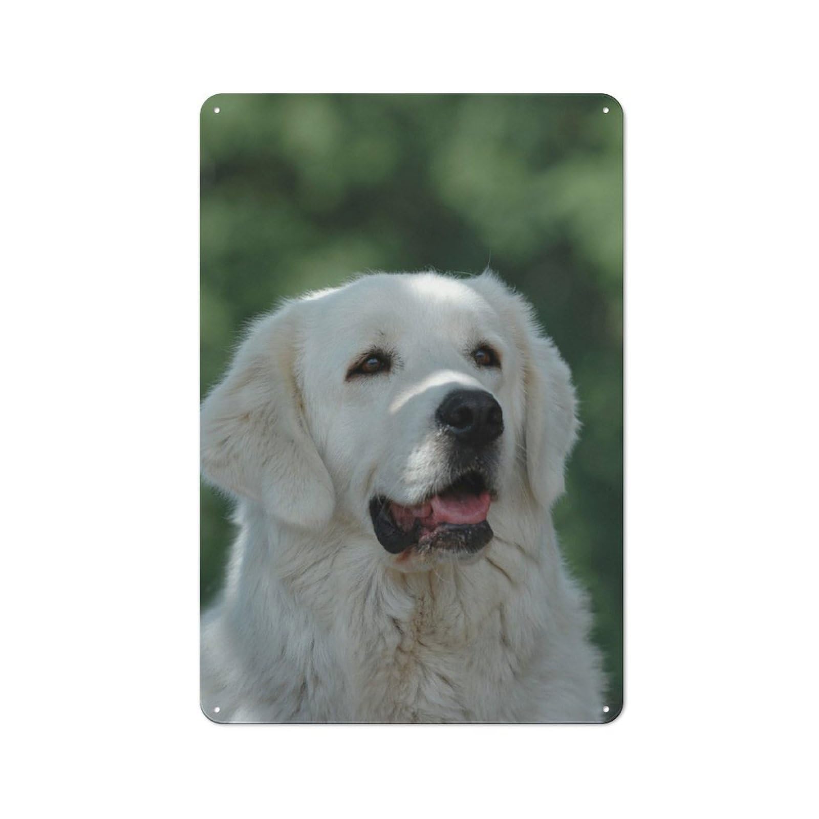 Junmoney Tatra Shepherd Dog Retro Tin Sign 30X20cm For Man Cave Or Games Room, A Decorative Christmas Gift For Leisure-Room Decor Enthusiasts