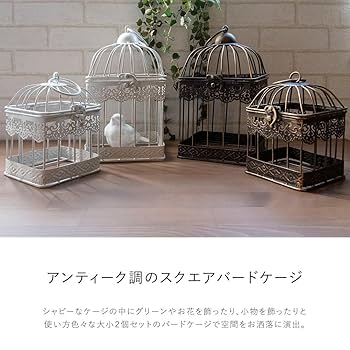 鳥籠　インテリア Amazon.co.jp: 鳥かご とりかご 鳥籠 オブジェ インテリア 置物