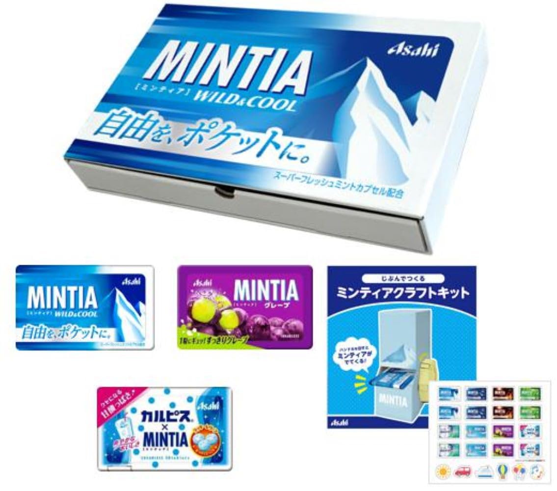 値下げ‼️台湾製【未使用・美品】Madin T-133 ｜定価約9万円→2万5千円 Amazon | ミンティア3種30個 シール付きクラフトキットセット 工作
