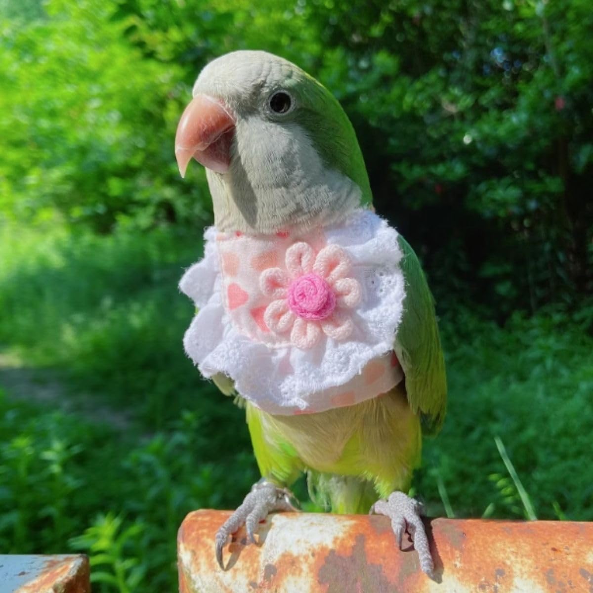 Bird Costume Bird Diaper Flight Suit Bird Summer Clothes Cosplay Photo Prop for Parrots Lovebird Parakeet Cockatiel Small Animals Apparel (Without Diaper,L)