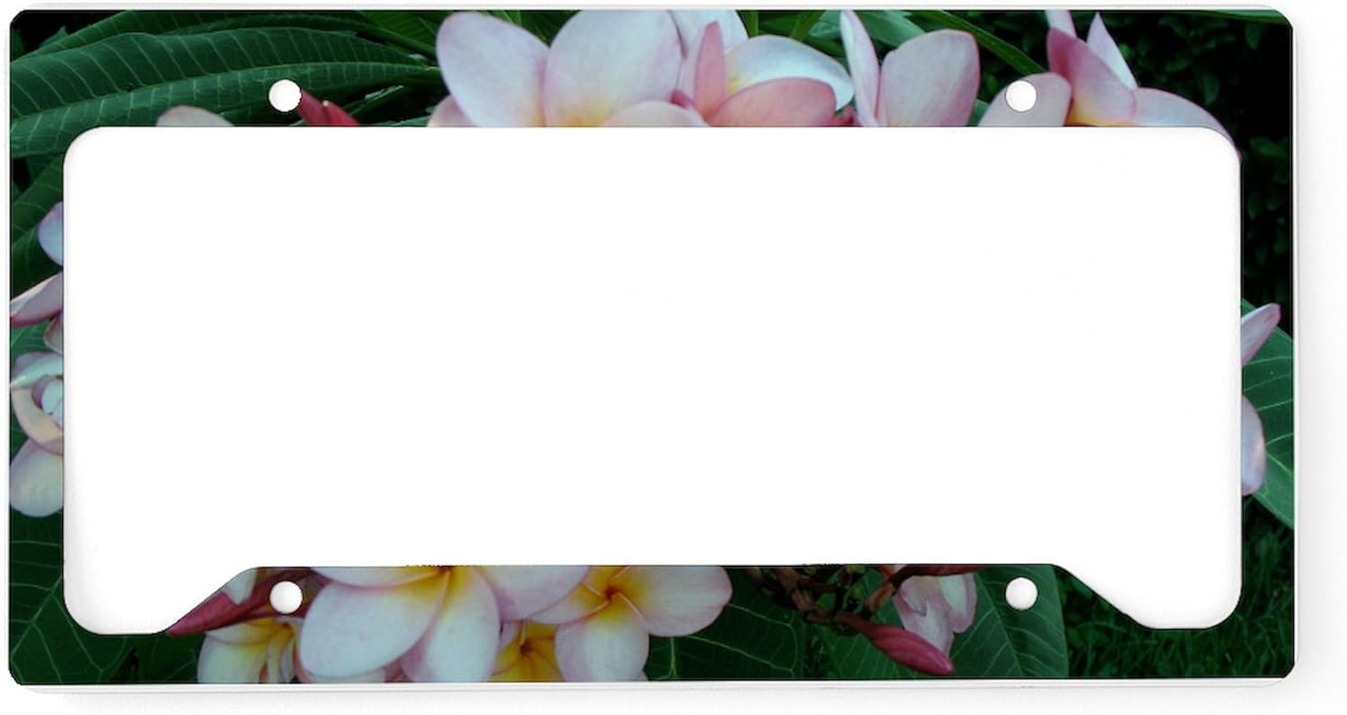 CafePress Pretty Pink Plumeria Flowers License Plate Holder Aluminum License Plate Frame, License Tag Holder