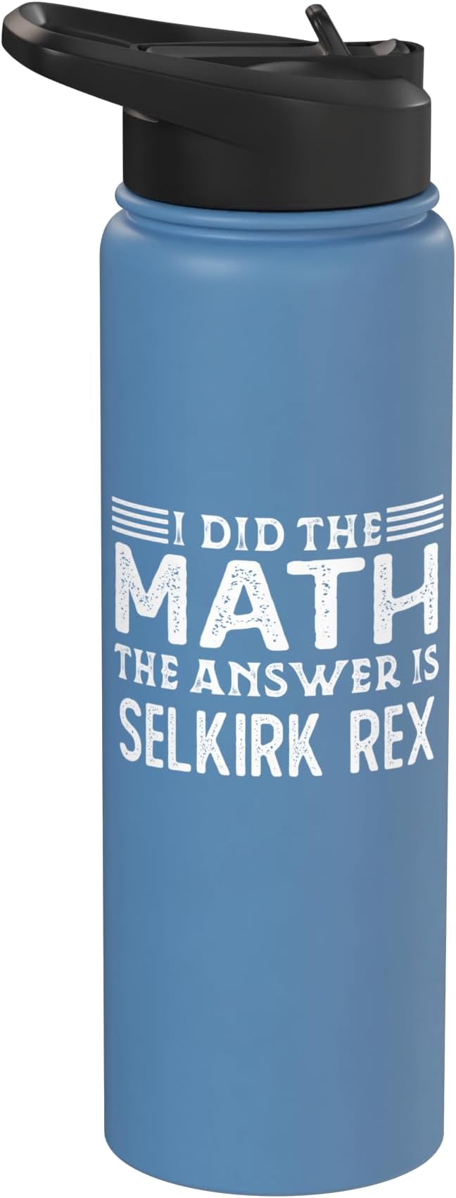 The Answer Is Selkirk Rex Funny Math Teacher Student Stainless Steel Insulated Water Bottle