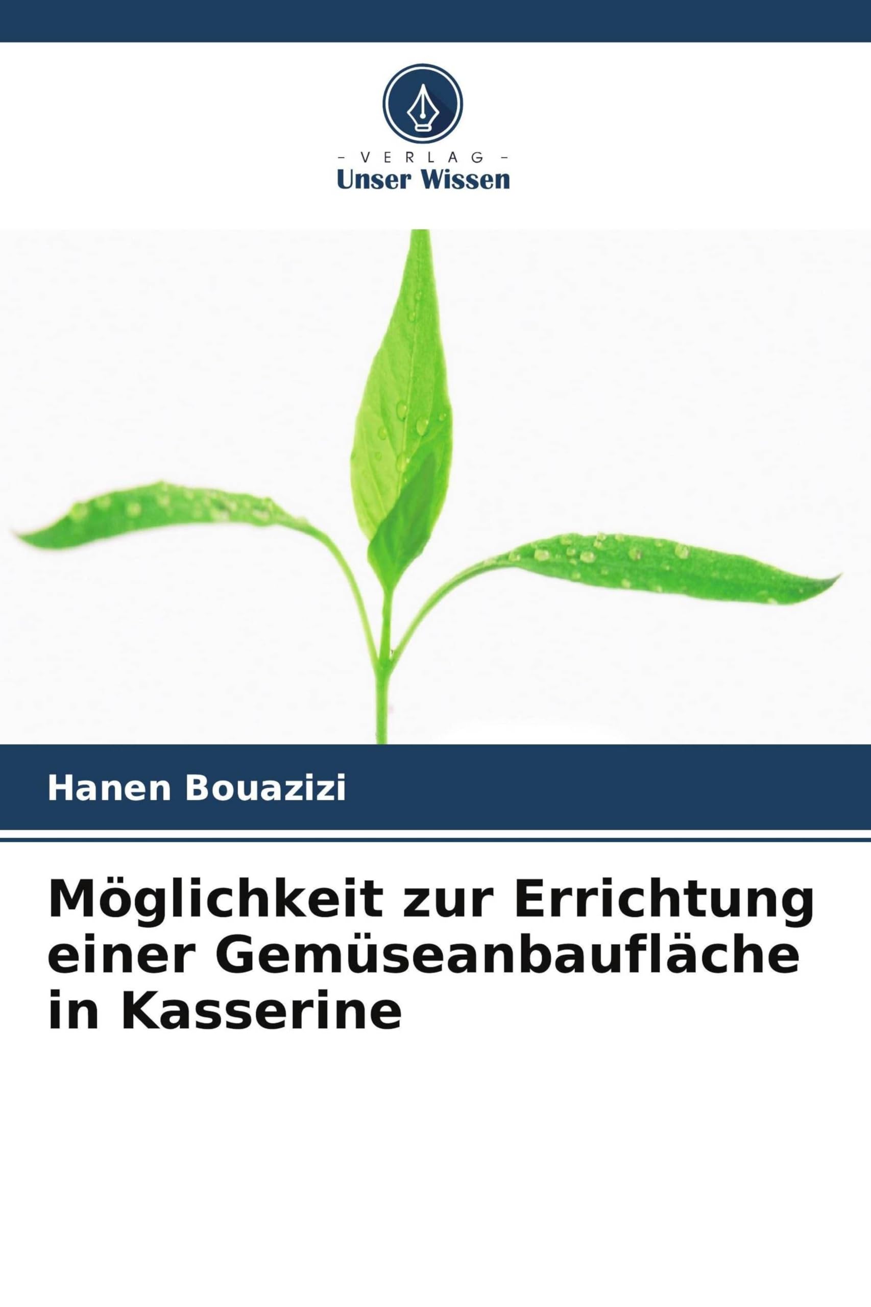 Möglichkeit zur Errichtung einer Gemüseanbaufläche in Kasserine