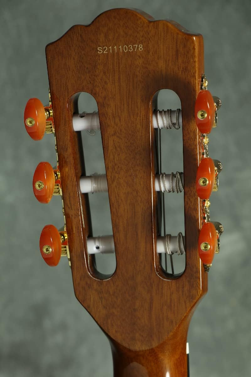 Washburn Festival EACT42S Nylon String Cutaway Classical Acoustic Electric Guitar (EACT42S-A)