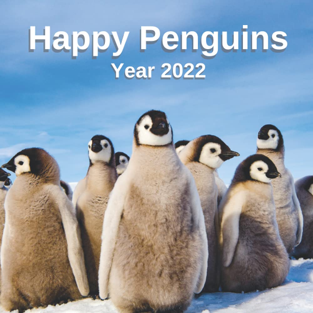Buy Penguins 2022 - 12 Months of High-Resolution Penguin Photos