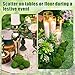 Amyhill 38 Pcs Decorative Faux Moss Balls for Centerpiece Artificial Green Plant Mossy Globes Dried Moss Balls Bowl Filler for Vase Wedding Spring Home Garden Decor Chinoiserie Party Display