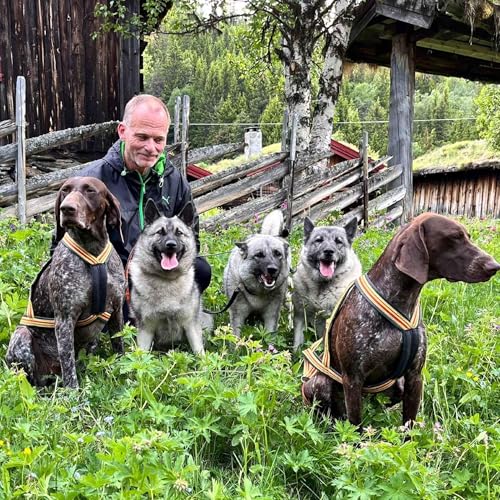 L&oslash;shund, bandhund og jaktpr&oslash;veregler med Bj&oslash;rn Grue