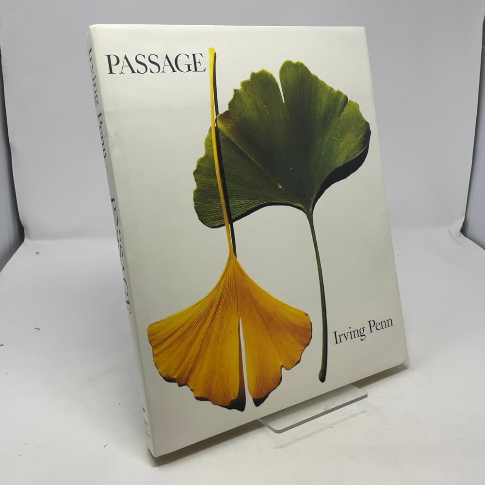 Passage: a Work Record : Penn, Irving: Amazon.com.au: Books