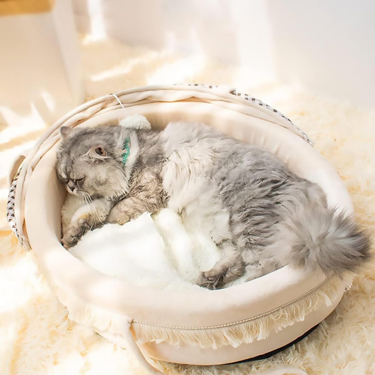 سرير كهف للقطط من بابوريتش، سرير كهف شبه مغلق قابل للطي والغسل للحيوانات الاليفة، سرير قطط دافئ ومريح لجميع الفصول، عش قطط، سرير للحيوانات الاليفة للحيوانات الاليفة للكلاب والقطط واللعب (صغير)