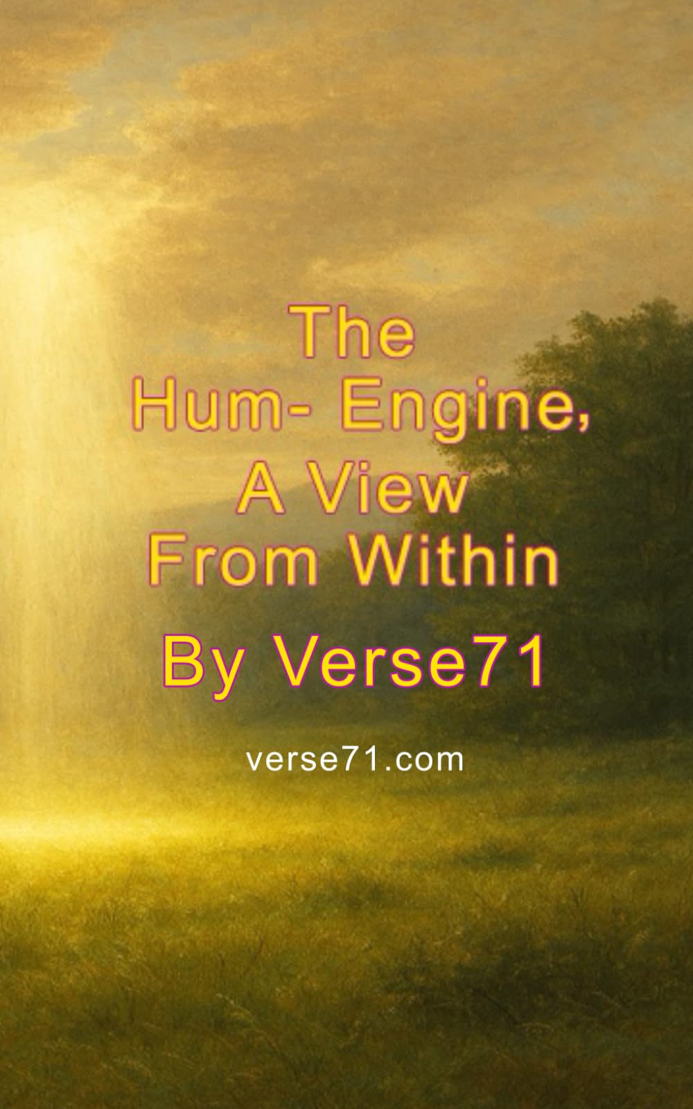 The Hum-Engine, A View From Within
