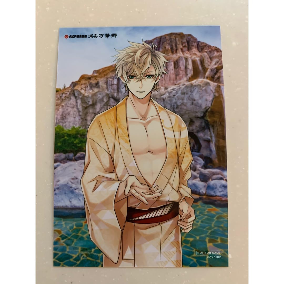 Amazon.co.jp: イケメン戦国 徳川家康 : Toys & Games