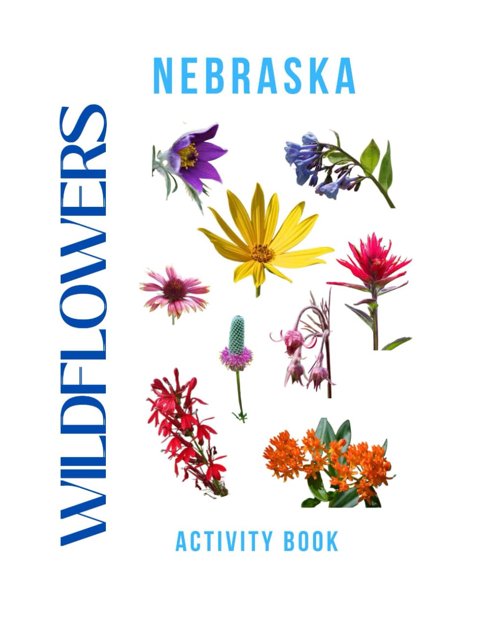 Wildflowers of Nebraska Activity Book: A Young Explorer's Field Guide to the Native Blooms of Nebraska (Nebraska Nature Explorer Series)