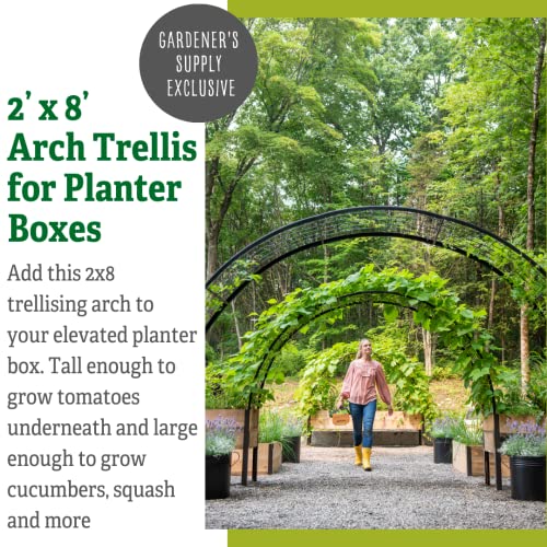 Gardener’s Supply Company Arch Trellis | Garden Arbor fits 2' x 8' Elevated Planter Boxes for Climbing Plants, Vegetables and Flowers | Decorative Outdoor Gardening Landscape