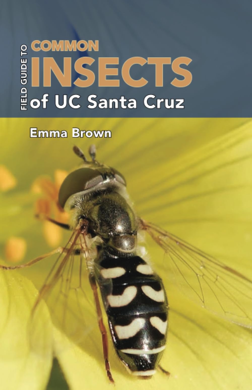 Field Guide to Common Insects of UC Santa Cruz
