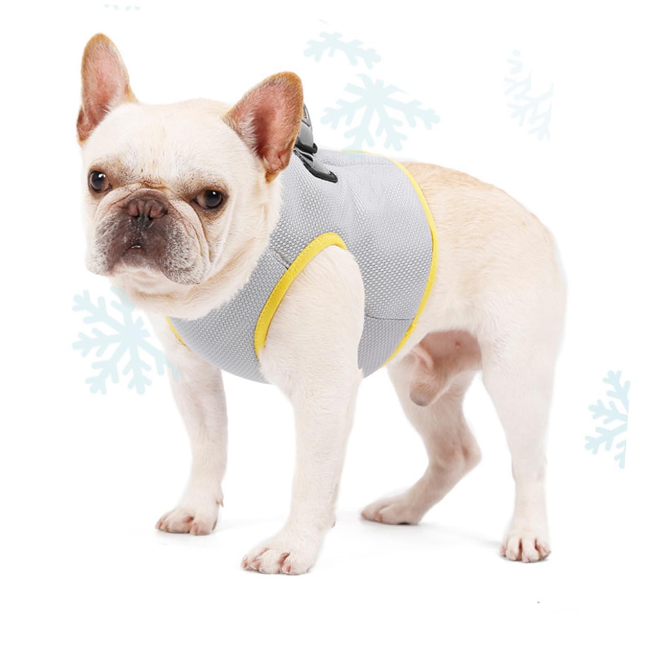 Gilet Rafraîchissant pour Chien Respirant XL pour Activités Extérieures Poitrine Confort Optimal Et Système De Libération Rapide