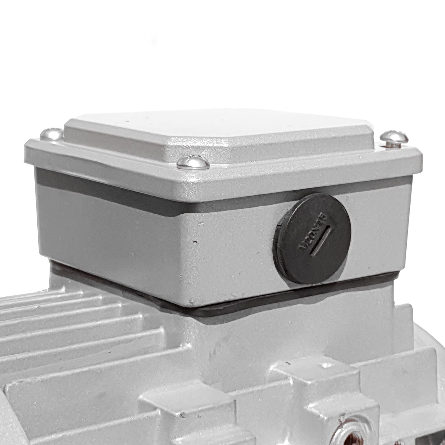 Motore elettrico Monofase 3.0 kW 4 HP 1400 giri B3 MEC 100 230v