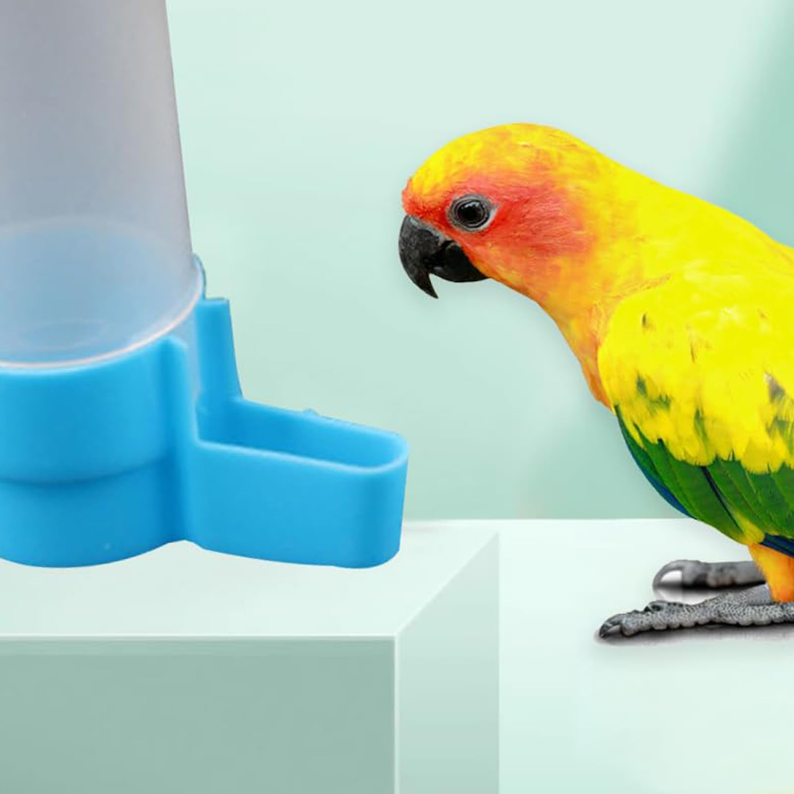 Automatic Bird Water Dispenser, 120ml Hanging Water Feeder for Parrots Budgies, Cockatiels & Small Birds - Image 4