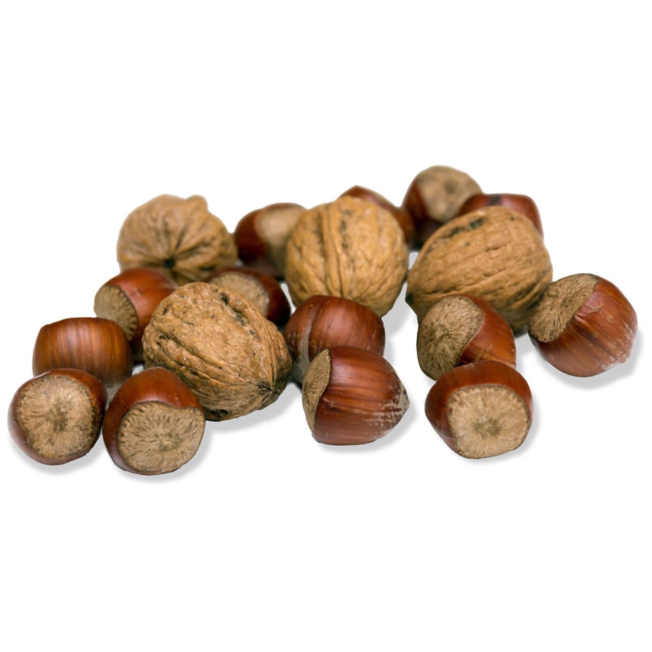 JR FARM Garden - Ardilla de 250 g