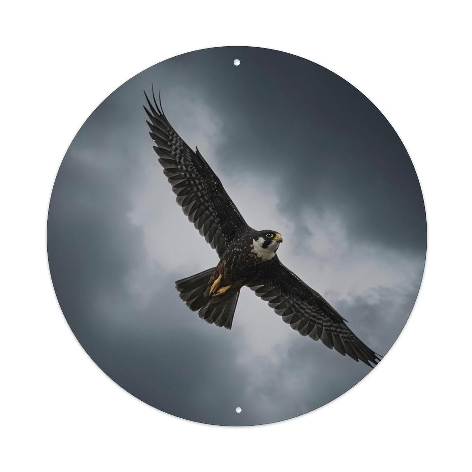 Cwbufd Vintage Style Animal Peregrine Falcon In Dramatic Stormy Sky Flight Vintage Metal Tin Sign Plaque Wall Decor For Cafe, Club Bar, Office, Garden Metal Poster 8X8inch