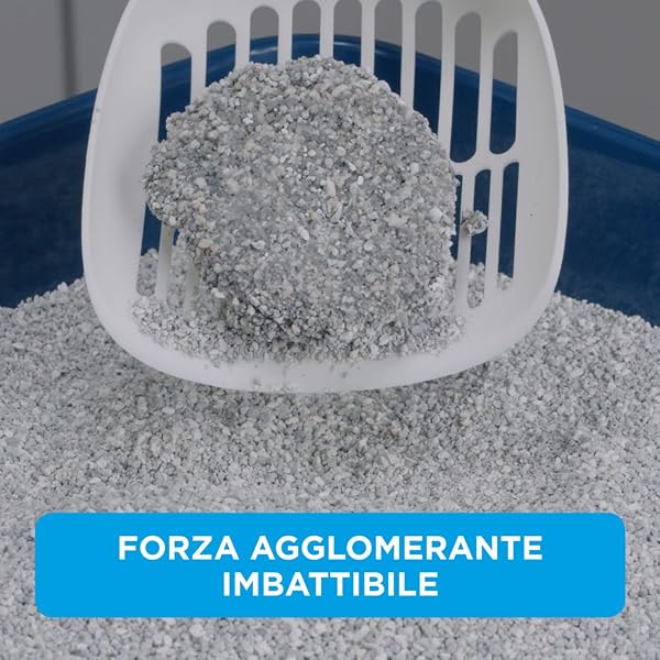 Ever Clean Lettiera Agglomerante Extra Forte Ever Clean, 10.Litri, Non Profumata - 3