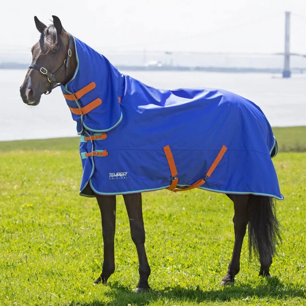 Shires Tempest Original 50 Combo Turnout Rug - Royal Blue 6ft6